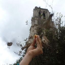 FeliciaMTomas's profile picture. Late, corazón... no todo 
se lo ha tragado la tierra.
Antonio Machado