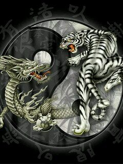 solotuya852's profile picture. 