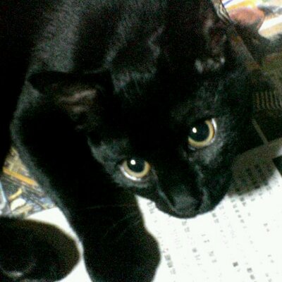 黒岩 春樹