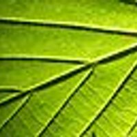 Health Applications (@healthappsaust) 's Twitter Profile