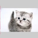 Chen Aidi - @AidiChen - Twitter