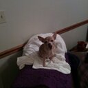 Steven Jarrard - @titanicjesus - Twitter