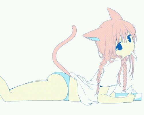 NEW ACCOUNT @BeeForever3 FOLLOW MY NEW ACCOUNT