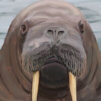 Ben schmidt (@captinunicorn2) 's Twitter Profile