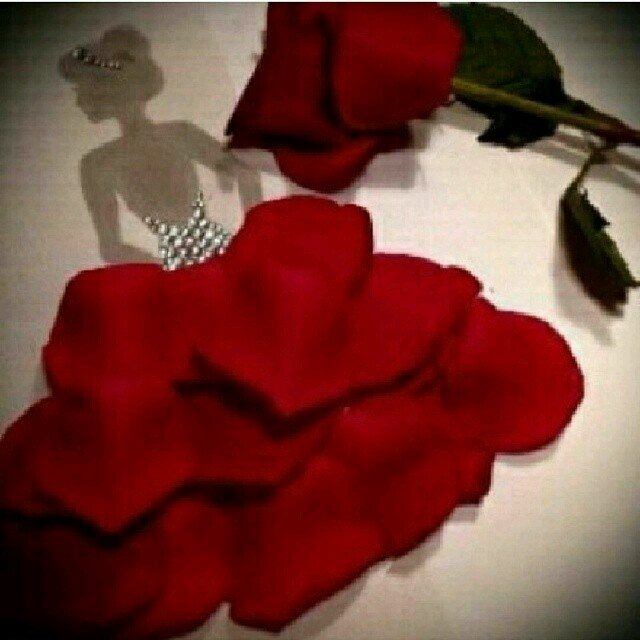 ‏‏سَ اصنَعُ مِن خيبَاتي مشروعَاً يُسمَىٓ ( لا ثِقَةٌ فِي مَن حولِي سِوىٓ ربي )  ،