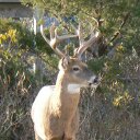 John Dross - @mavrolithari - Twitter