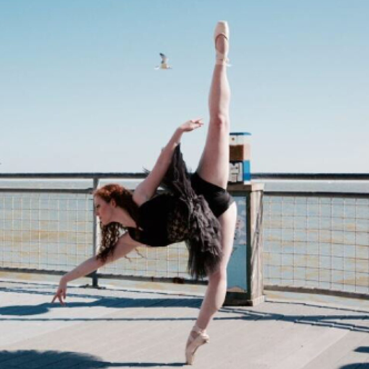 A dance isn't much without a message.
A dancer isn't much without a story and opinion.
Dance to speak.