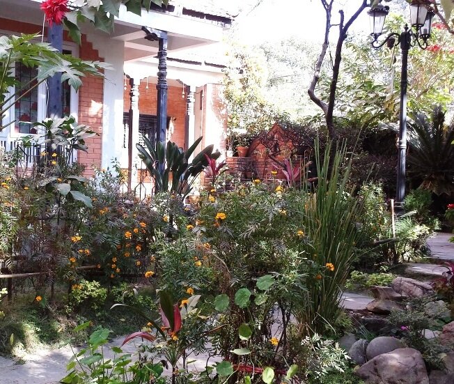 Pandays Paradise is a B and B Guest House situated in a very peaceful ambiance at Jawlakhel, Lalitpur..