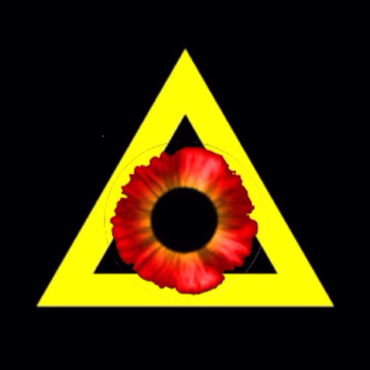 twrtilluminati's profile picture. Only for the eyes of the awakened, or those who desire to become one. 
Primary account: @igilluminati via Instagram