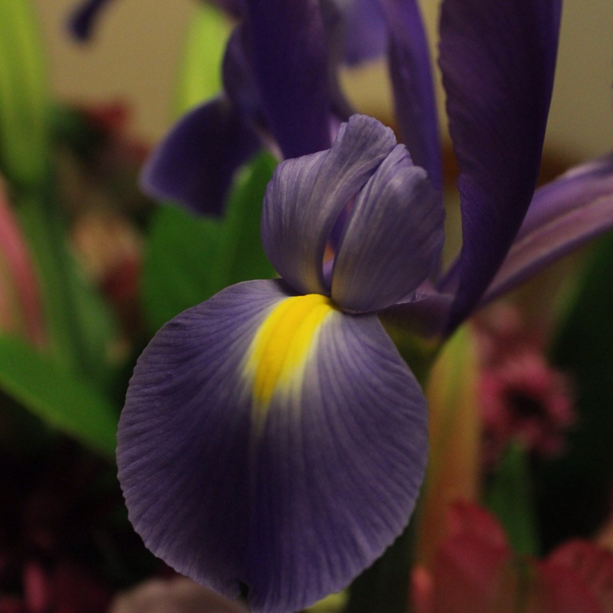 Sezlouise85's profile picture. 