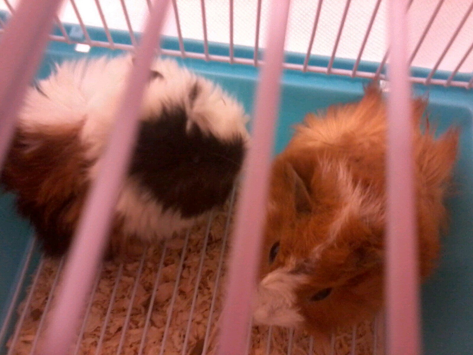 friikylicious's profile picture. :) serving humanity