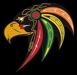 TIER 1-Ball Hockey Team