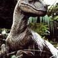Sonnborner (@blitzballwizard) 's Twitter Profile