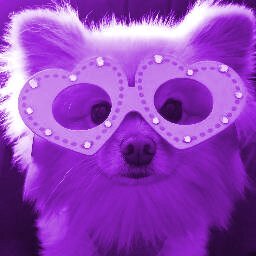 lisaneyer's profile picture. 