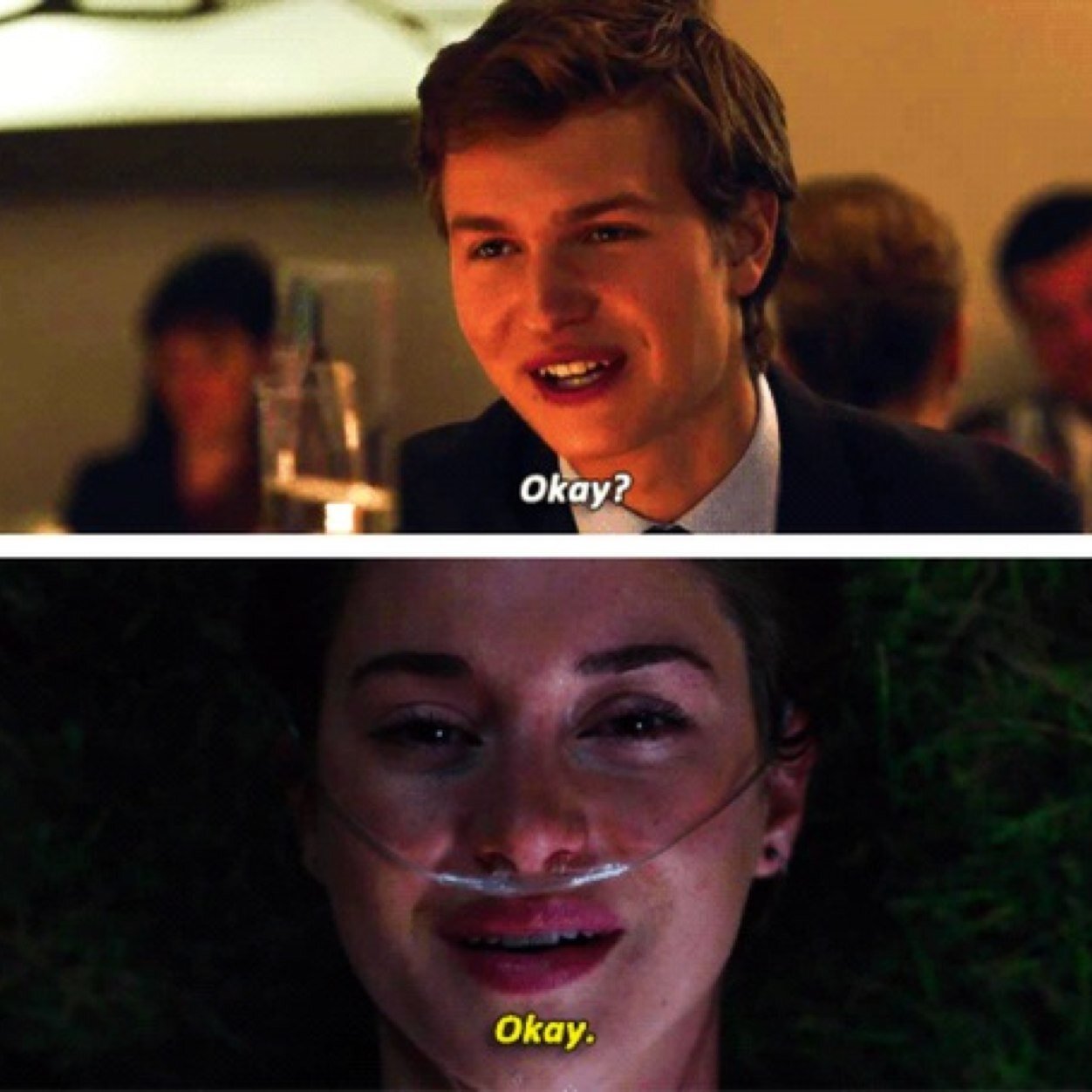 TheFualtInOurSt's profile picture. Okay.