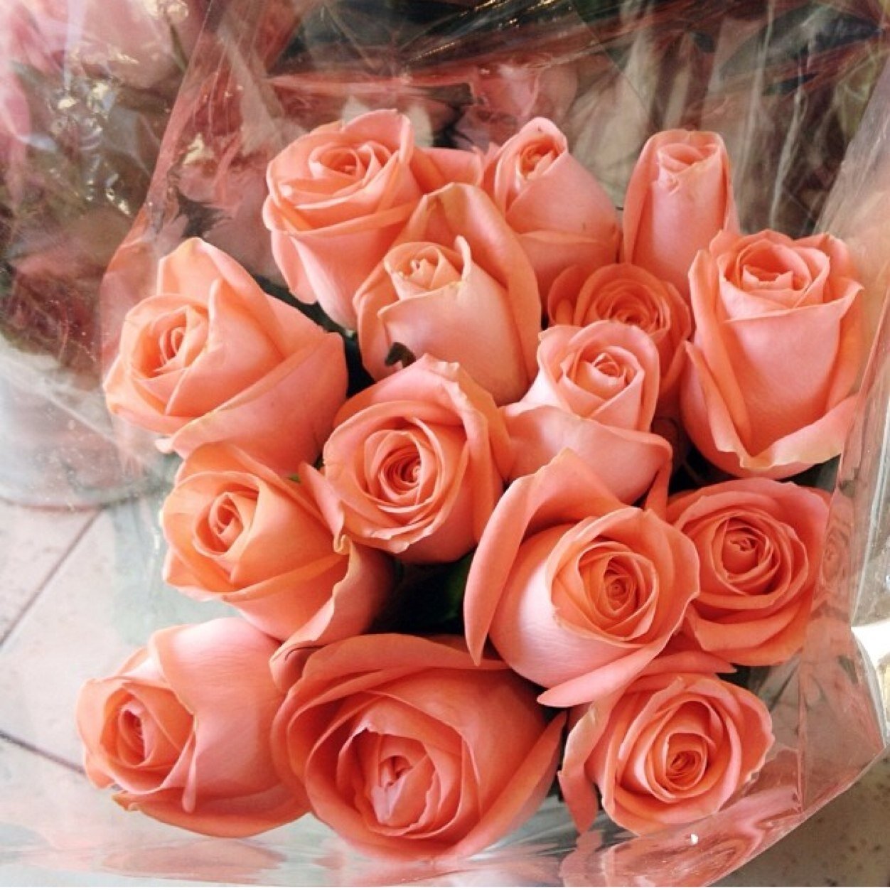 asmaahrsff's profile picture. 