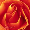 Savanah hicks - @savanahhicks - Twitter