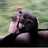 firebird082's profile image