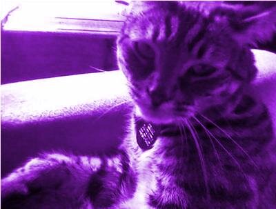 dilynn5768's profile picture. 