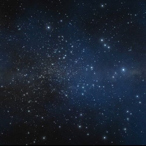 perfmatters_bot's profile picture. 