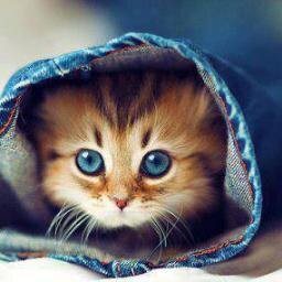 You NeeD #Covers Or #Photo Write Tweet Or MsG  Beautiful covers N&R&M&Z  : https://t.co/UibYYMFewy
