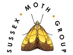 Updates and event news from the Sussex Moth Group