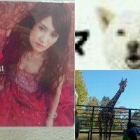 あんこねこちょこちゃん (@papiameshow) 's Twitter Profile