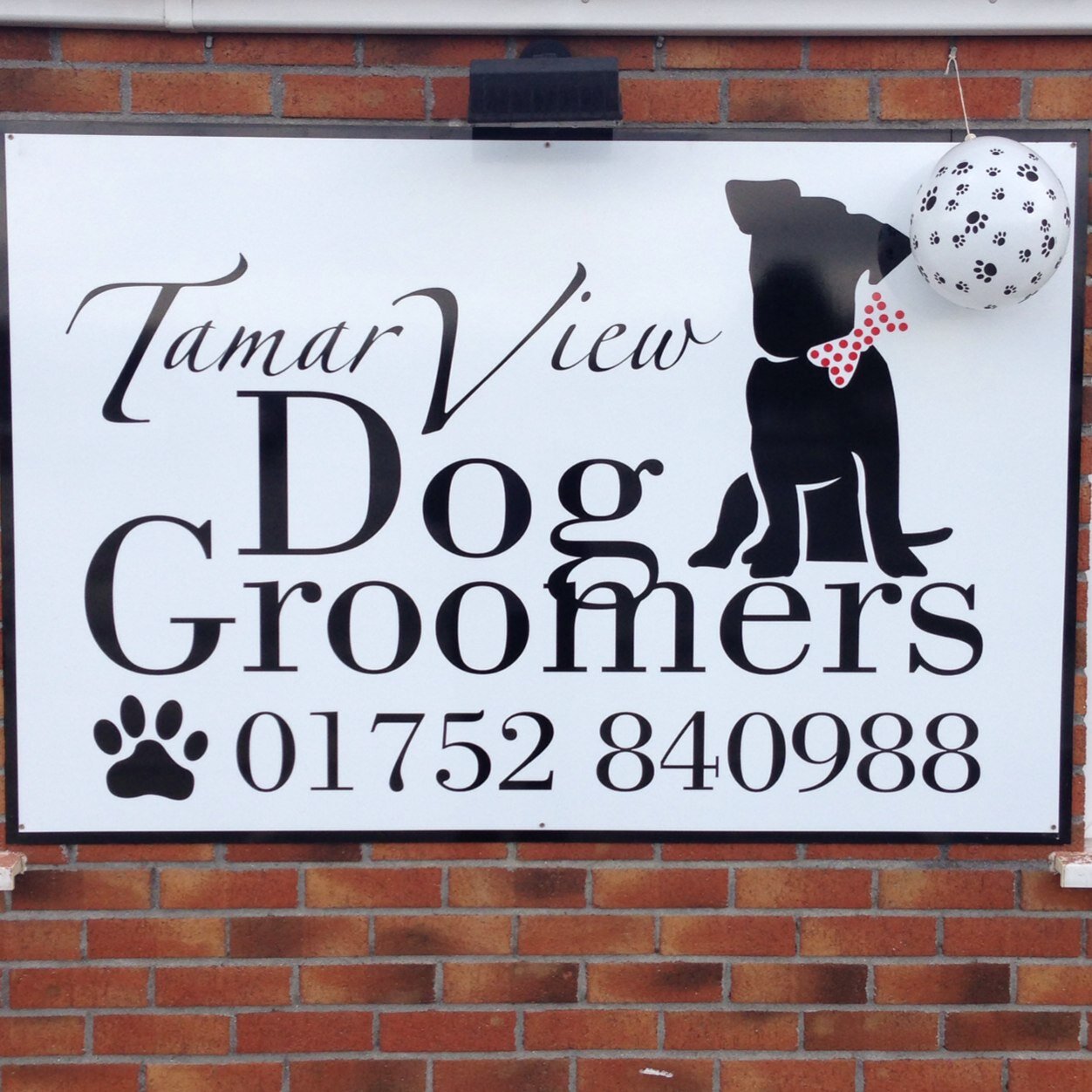 TamarViewDogs's profile picture. We are a professional dog grooming salon based on Tamar View Nurseries in Carkeel, Saltash. Tel: 01752 840988. 10% off first booking, Free, easy parking.