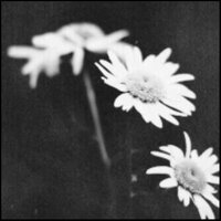 غمُوض | .  (@ambiguity_22) Twitter profile photo