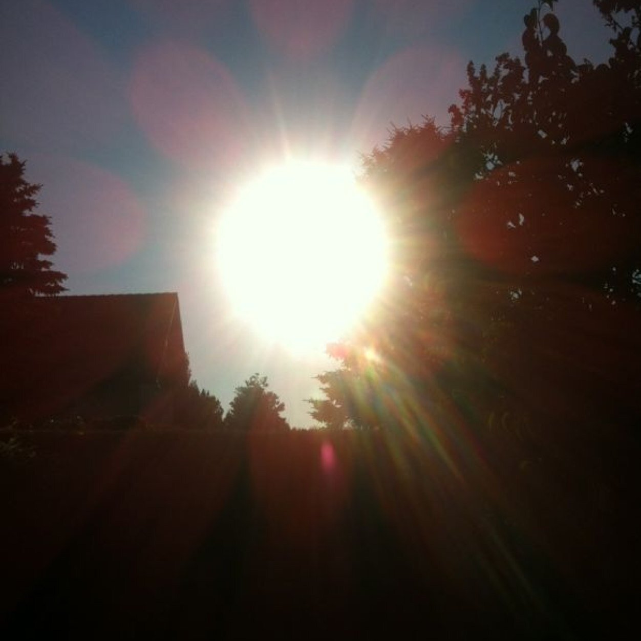 Arthurr_C's profile picture. Quand on veut, on peut.. #TeamSableFC #ExTeamDijonFCO