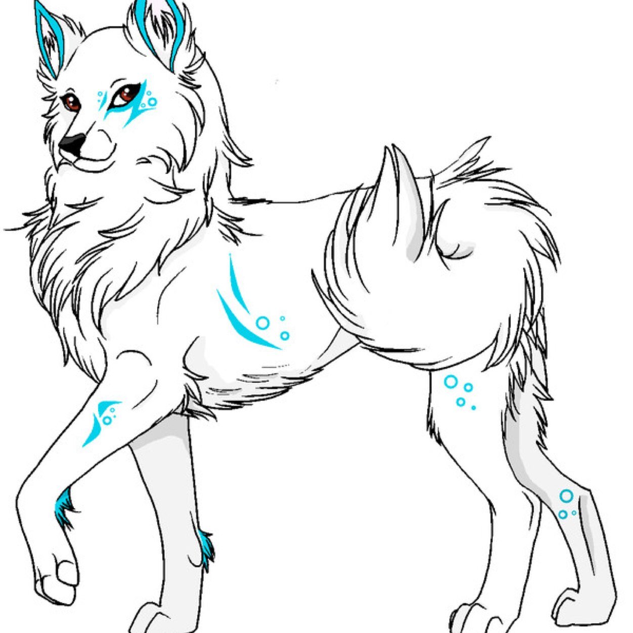 Bella_Wolf_1's profile picture. 