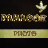 Fotos Paloma Pamacor Paloma Matías (@pamacor19) 's Twitter Profile