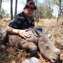 Passionate about saving our Rhino, care giver, fundraiser & volunteer. Educating people that healing is in the BRAIN, NOT in ANY part of our widlife.