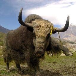 We have aim to bring up and cover up all about Badakhshan Afghanistan