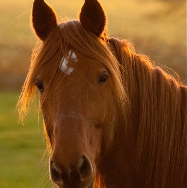 denamaldonado14's profile picture. 