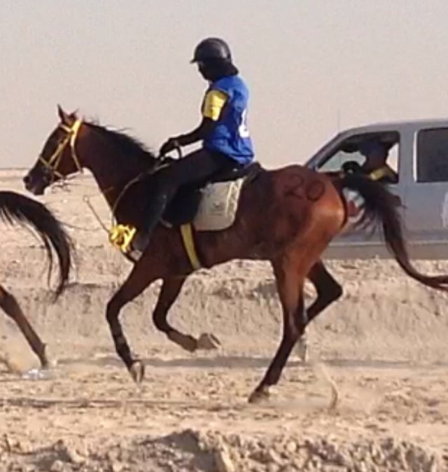 مؤسسة ورئيسة مبادرة عزوم بنات زايد والنادي الثقافي للفروسية والشعر Founder and President of 3zoom Banat Zayed Initiative &The Educational Equestrian&Poetry Club