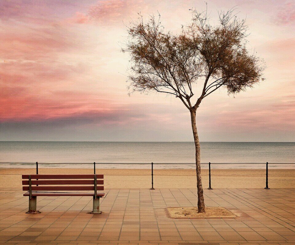 timafatay's profile picture. 