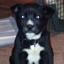 colby kramer - @colbykramer50 - Twitter