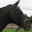 Deb Jaeger - @DebJaeger - Twitter