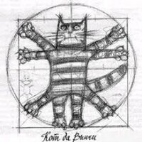 Kot Da Vinci (@drk_25) 's Twitter Profile