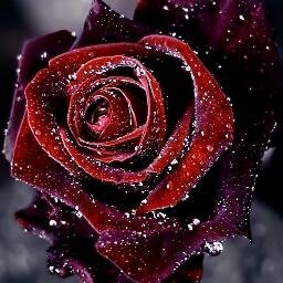 Students Blog, Follow and Get Follow Back ;)