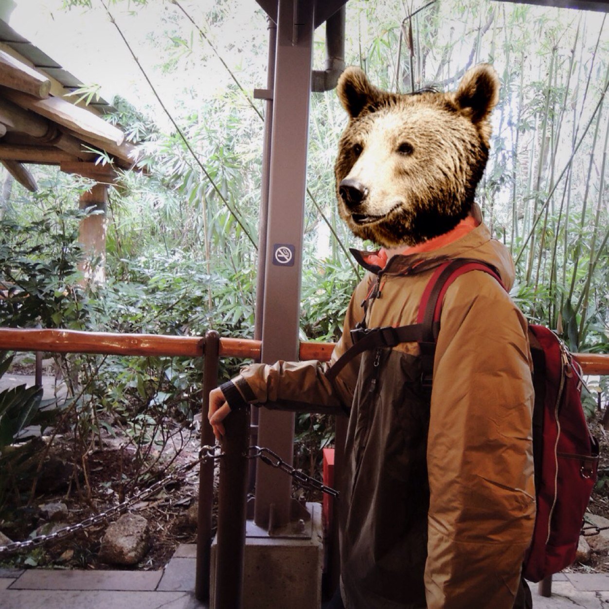 niiyama0714's profile picture. にーやまです。  林界隈/競馬/シュヴァルグラン/東京中山重賞ファンファーレ