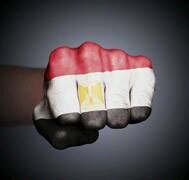 aarr_sat's profile picture. 