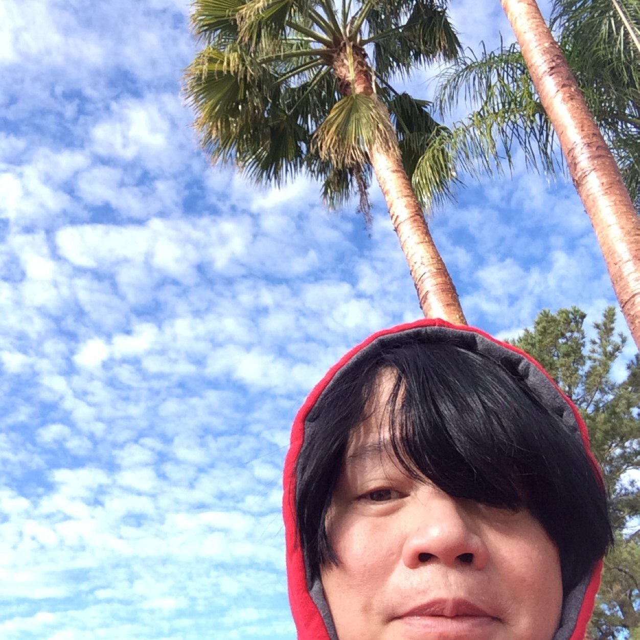 pangga26's profile picture. 