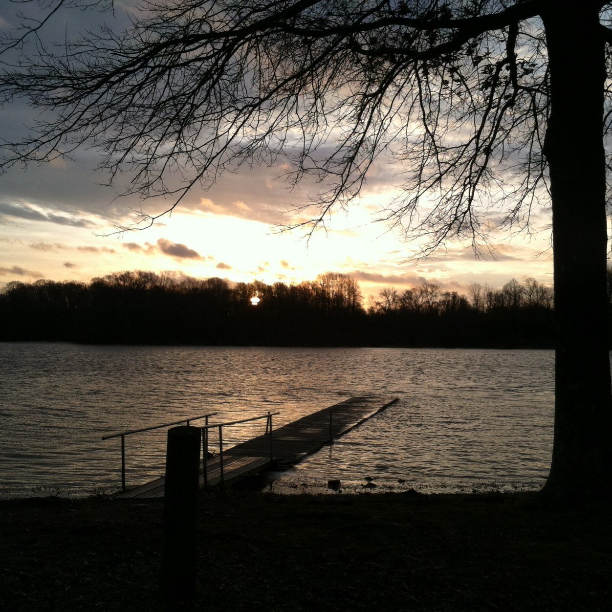 lostmarbles55's profile picture. 