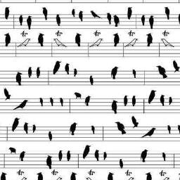 evagelia321's profile picture. Wattpad : @evagelia123

The anatomy of his eyes