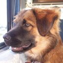 Rick Reinhardt - @RickdivesRick - Twitter