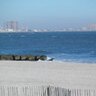 sandchair's profile picture. Designer, gardener, reader, beach lover, music lover and peace lover.
