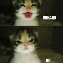 Pamplem40706975's profile picture. 