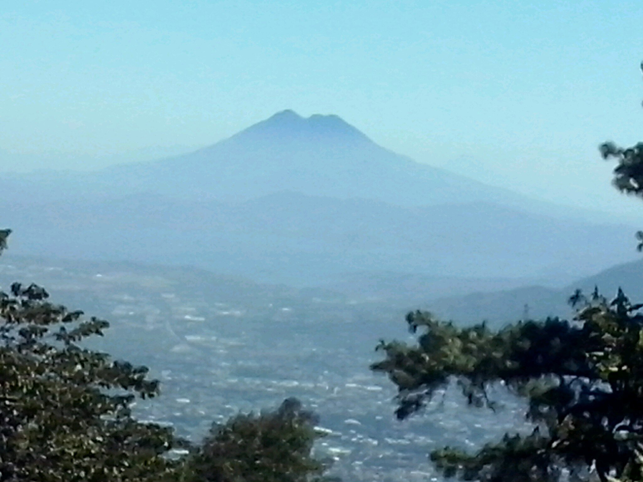 Abogada